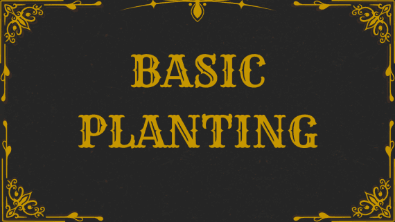 Primary product image