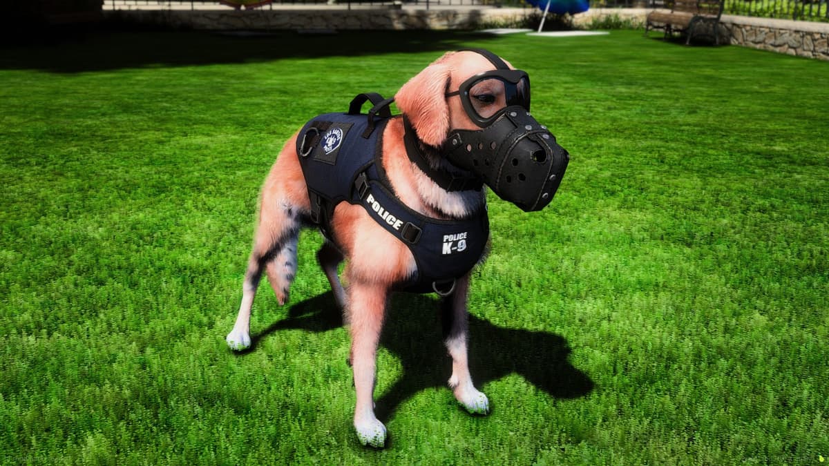 Primary product image