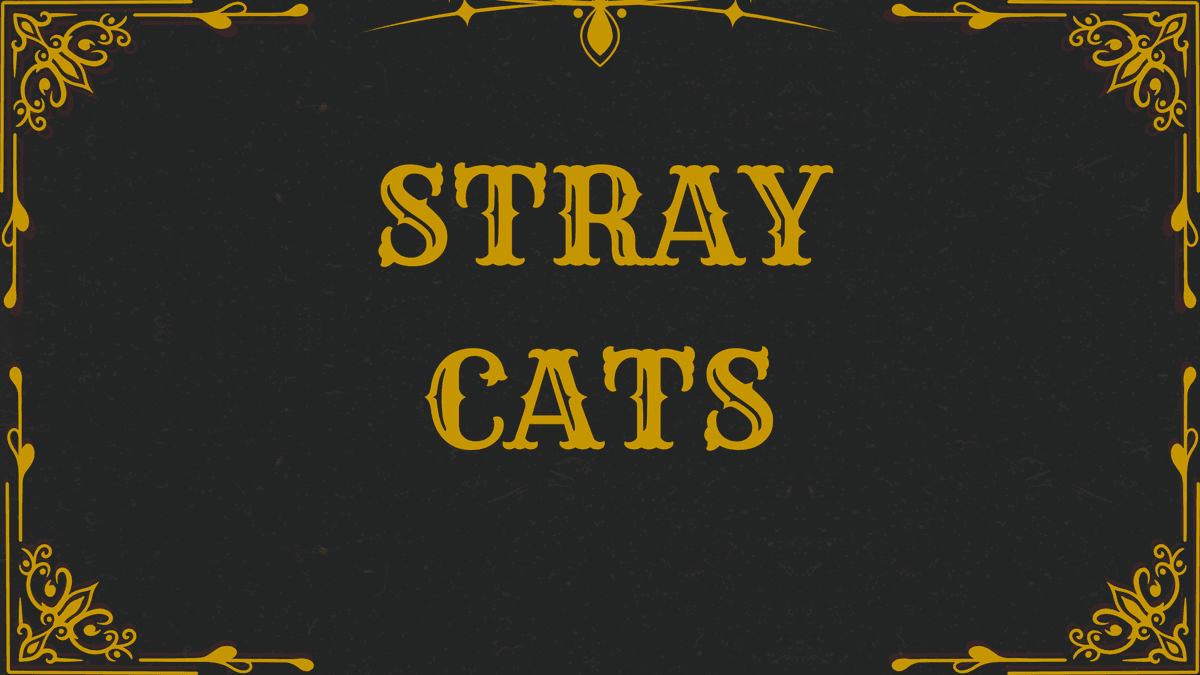 Primary product image