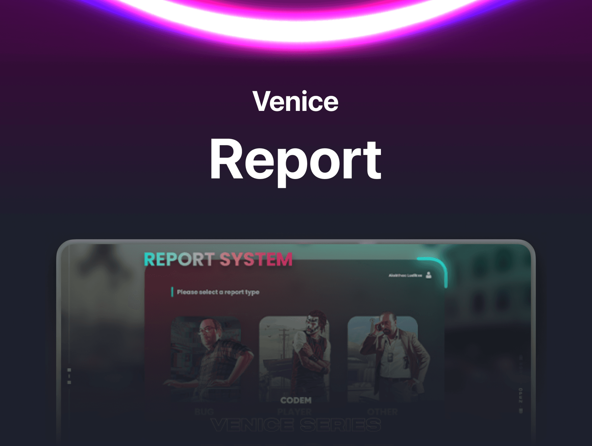 Venice Report product image