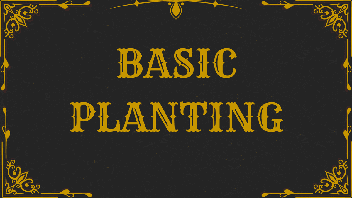 Primary product image