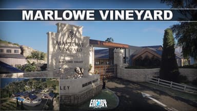 Video 2