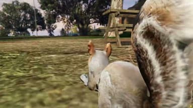 Video 2