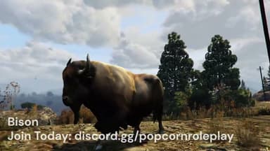 Video 2