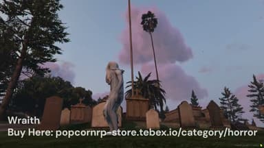 Video 2