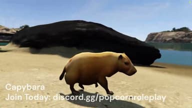 Video 2