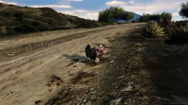 Video 2