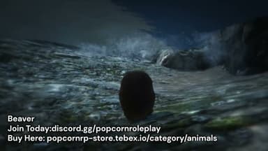 Video 2