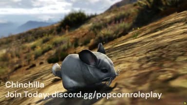 Video 2