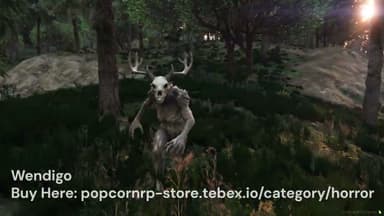 Video 2