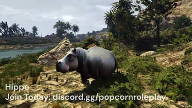Video 2