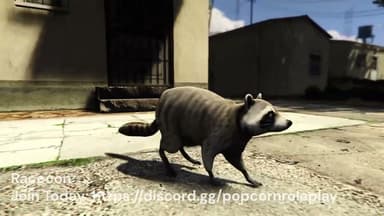 Video 2