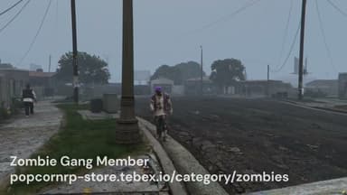 Video 2
