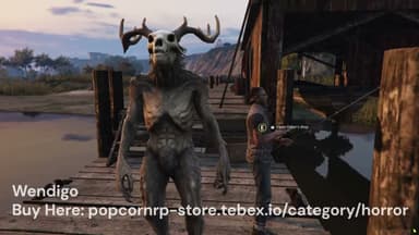 Video 2