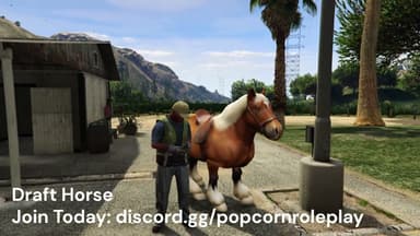 Video 2
