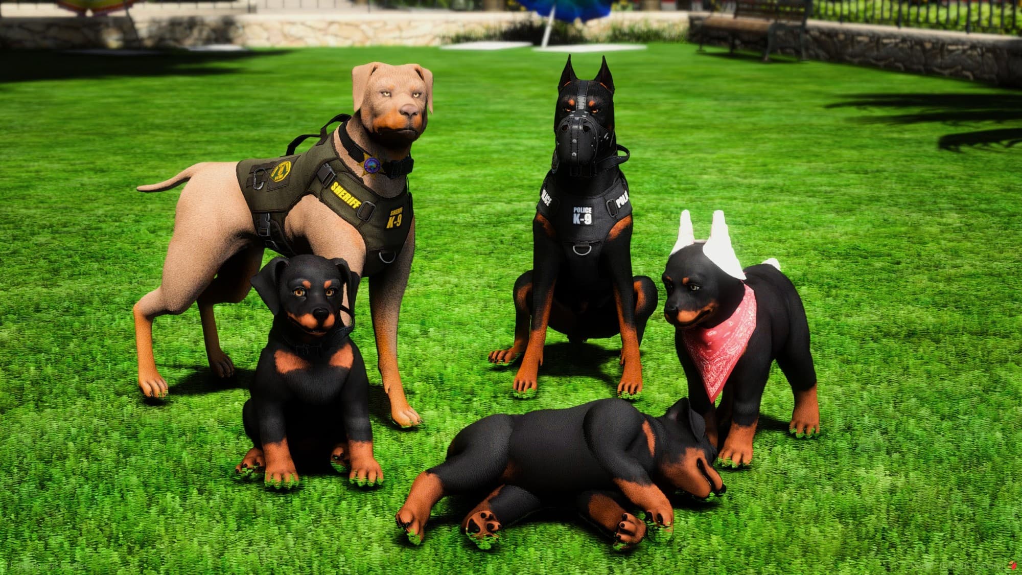Doberman K9 + Puppy Bundle