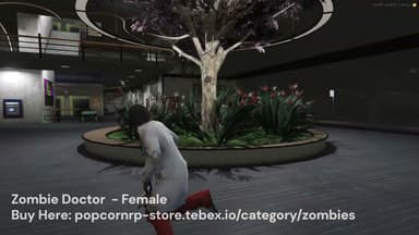 Video 2