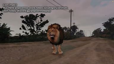 Video 2
