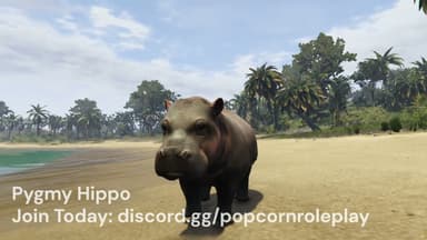 Video 2