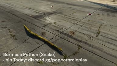 Video 2