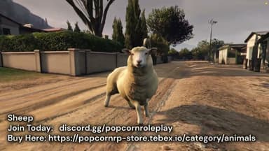 Video 2
