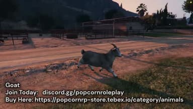 Video 2