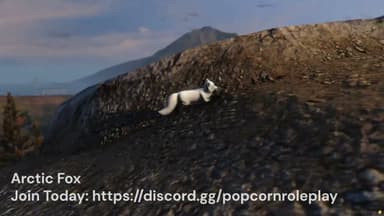 Video 2