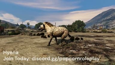 Video 2
