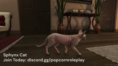 Video 2