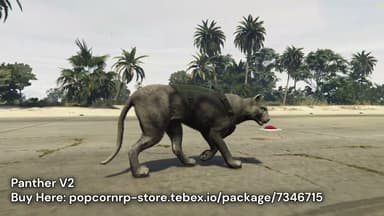 Video 2