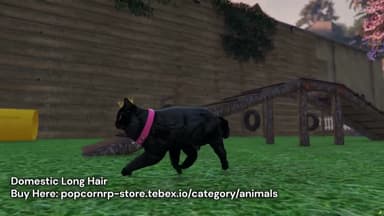 Video 2
